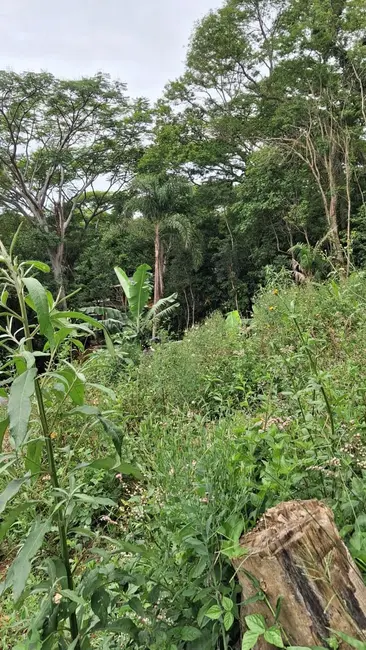 Foto 8 de Terreno / Lote à venda, 360m2 em Garopaba - SC