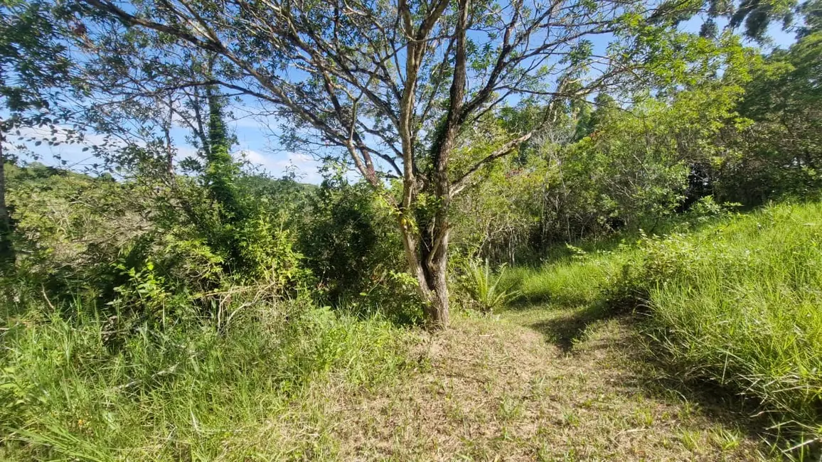 Foto 8 de Terreno / Lote à venda, 7000m2 em Garopaba - SC
