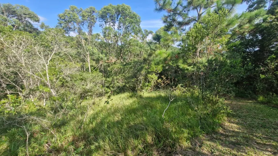 Foto 9 de Terreno / Lote à venda, 7000m2 em Garopaba - SC