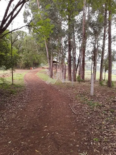 Foto 26 de Chácara à venda, 140m2 em Guaraniacu - PR