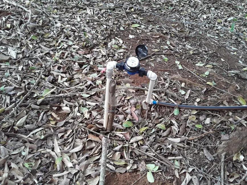 Foto 22 de Chácara à venda, 140m2 em Guaraniacu - PR