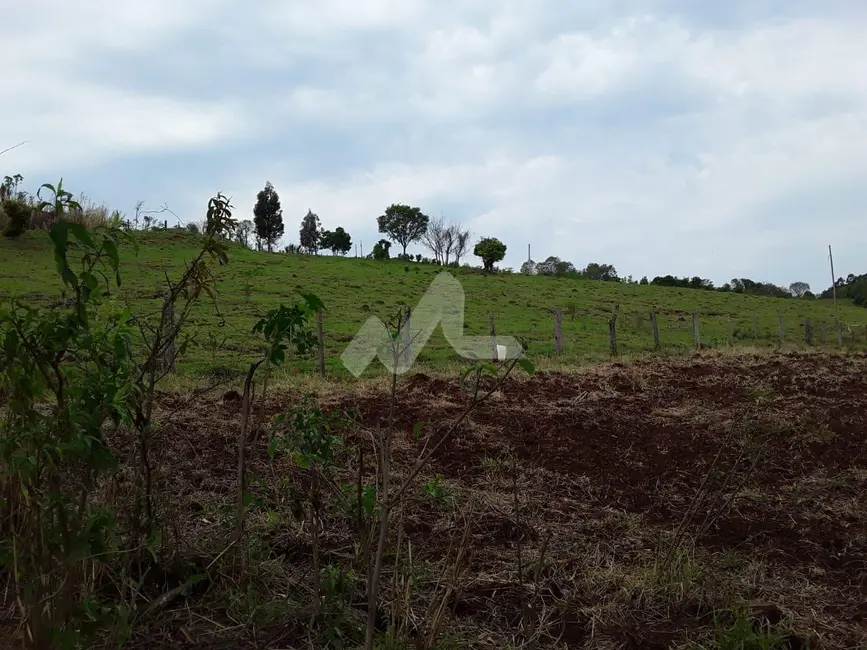 Foto 20 de Chácara à venda, 140m2 em Guaraniacu - PR