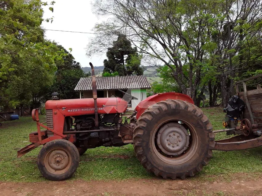 Chácara à venda, 140m2 em Guaraniacu - PR - imagem 6 Foto 6 de Chácara à venda, 140m2 em Guaraniacu - PR