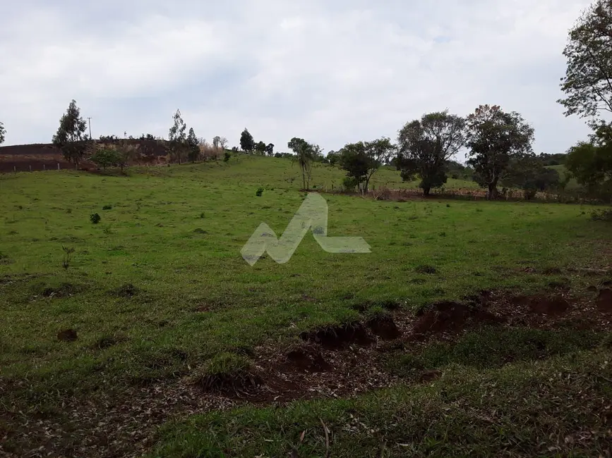 Foto 18 de Chácara à venda, 140m2 em Guaraniacu - PR