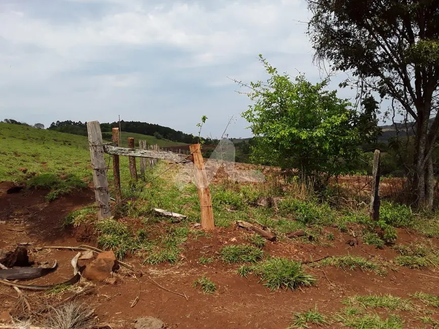 Foto 21 de Chácara à venda, 140m2 em Guaraniacu - PR