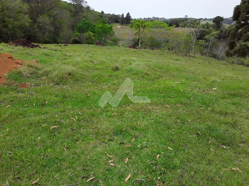 Chácara à venda, 140m2 em Guaraniacu - PR - imagem 8 Foto 8 de Chácara à venda, 140m2 em Guaraniacu - PR