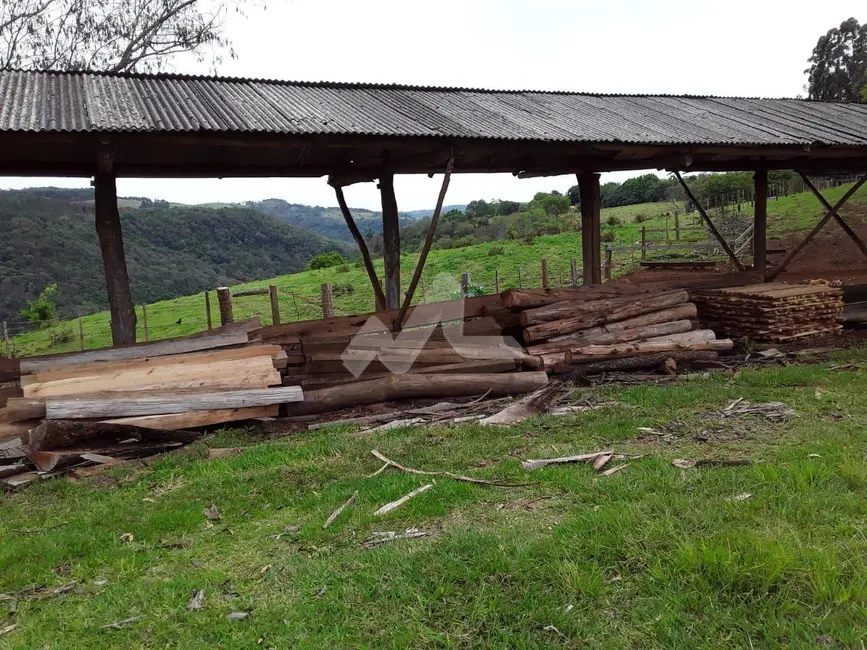 Chácara à venda, 140m2 em Guaraniacu - PR - imagem 9 Foto 9 de Chácara à venda, 140m2 em Guaraniacu - PR