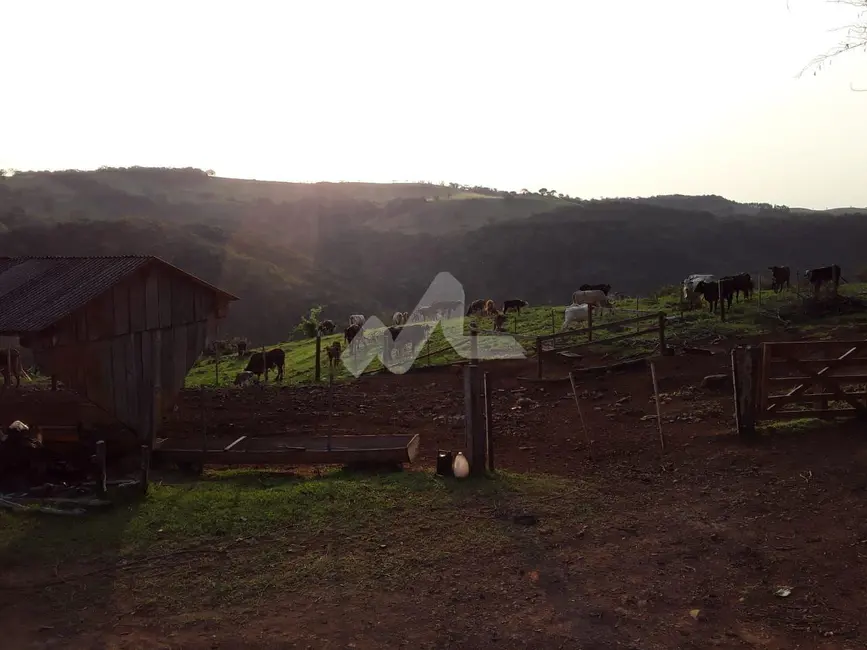 Foto 29 de Chácara à venda, 140m2 em Guaraniacu - PR