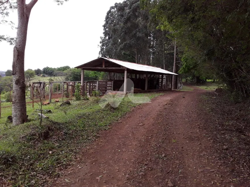 Foto 14 de Chácara à venda, 140m2 em Guaraniacu - PR