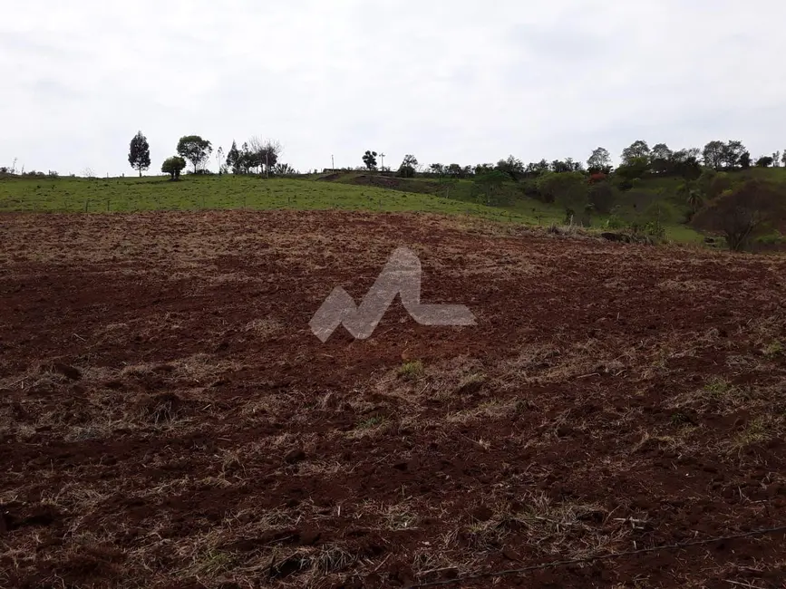 Chácara à venda, 140m2 em Guaraniacu - PR - imagem 5 Foto 5 de Chácara à venda, 140m2 em Guaraniacu - PR