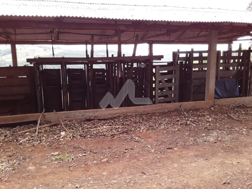 Foto 15 de Chácara à venda, 140m2 em Guaraniacu - PR