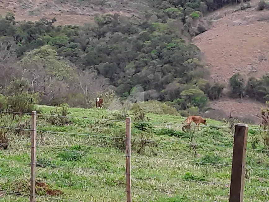 Foto 12 de Chácara à venda, 140m2 em Guaraniacu - PR