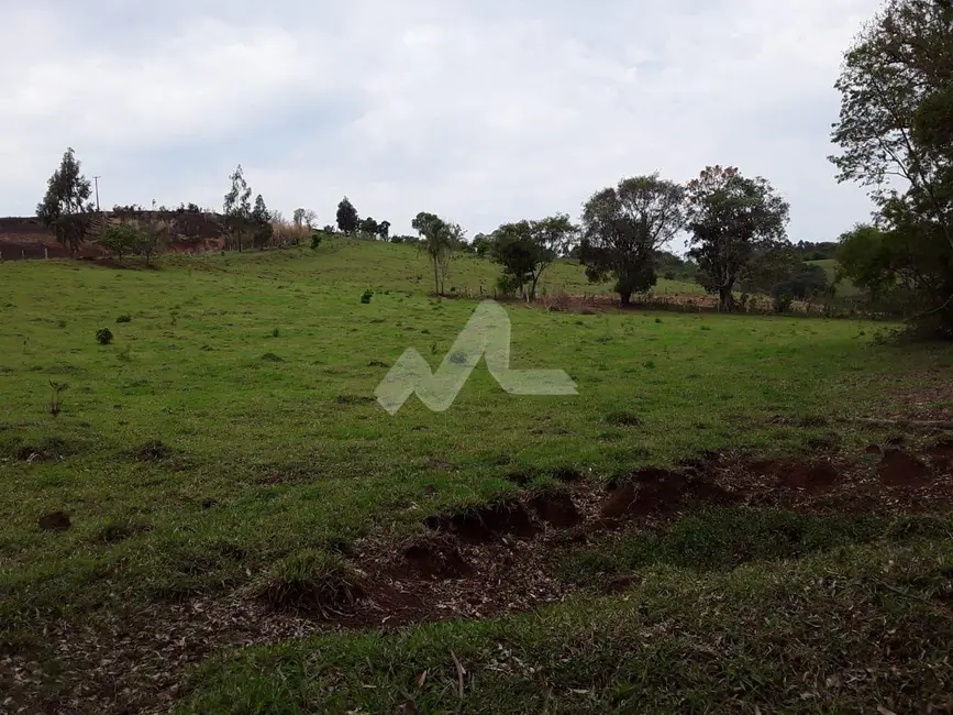 Foto 19 de Chácara à venda, 140m2 em Guaraniacu - PR