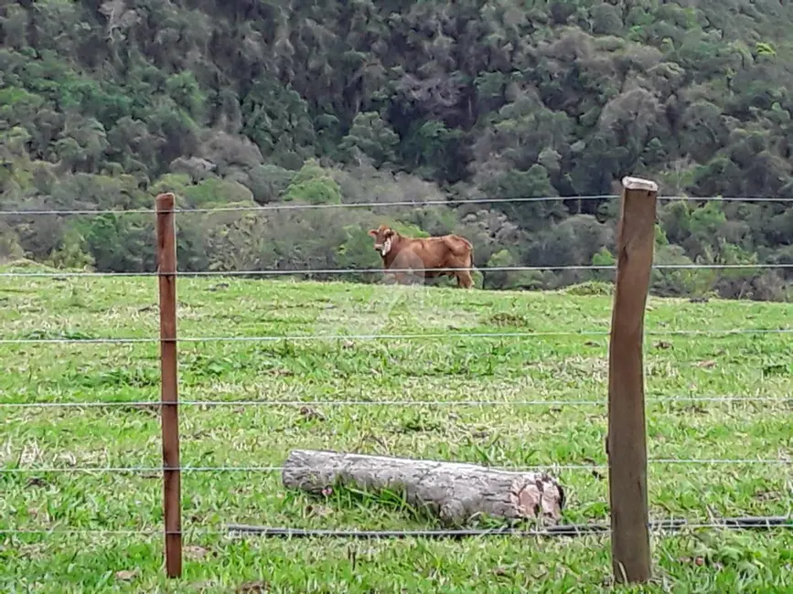Foto 27 de Chácara à venda, 140m2 em Guaraniacu - PR