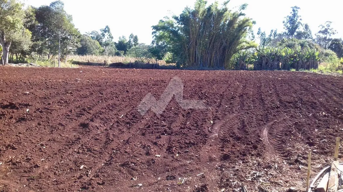 Chácara com 2 quartos à venda, 140m2 em São Francisco, Toledo - PR - imagem 7 Foto 7 de Chácara com 2 quartos à venda, 140m2 em São Francisco, Toledo - PR
