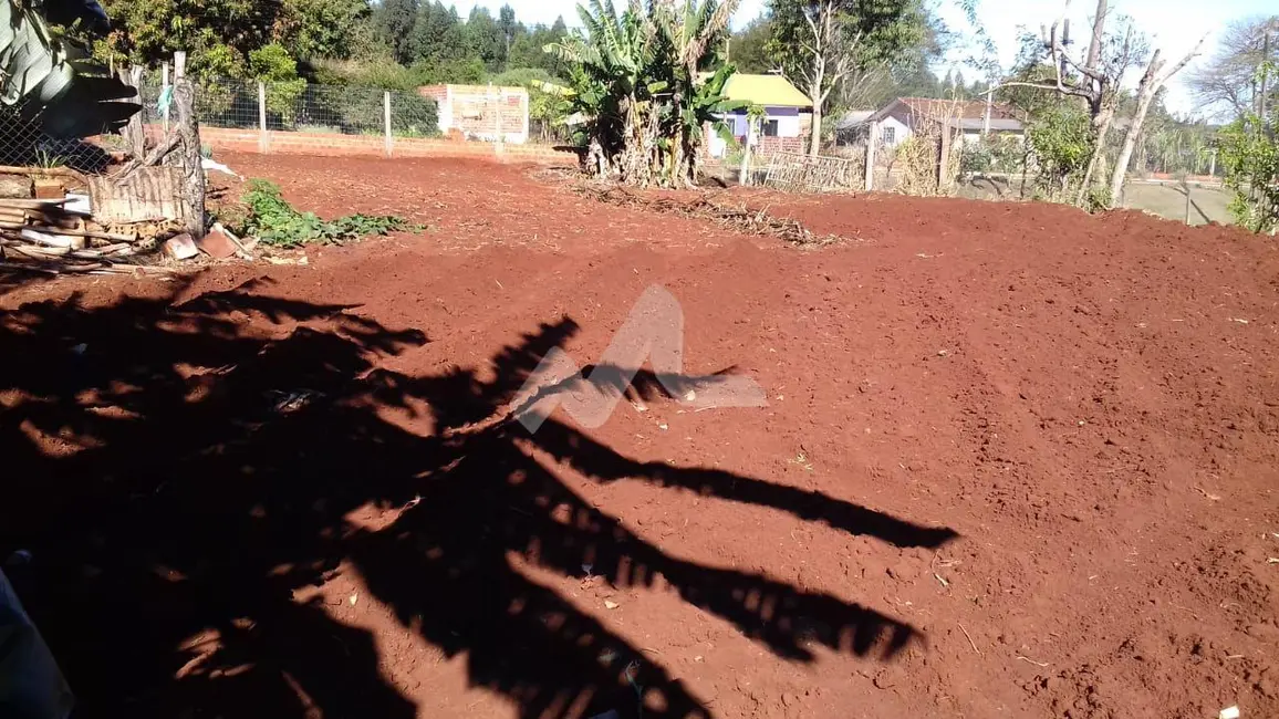 Chácara com 2 quartos à venda, 140m2 em São Francisco, Toledo - PR - imagem 9 Foto 9 de Chácara com 2 quartos à venda, 140m2 em São Francisco, Toledo - PR