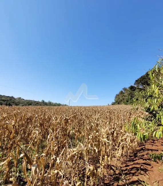 Foto 3 de Chácara à venda em Toledo - PR