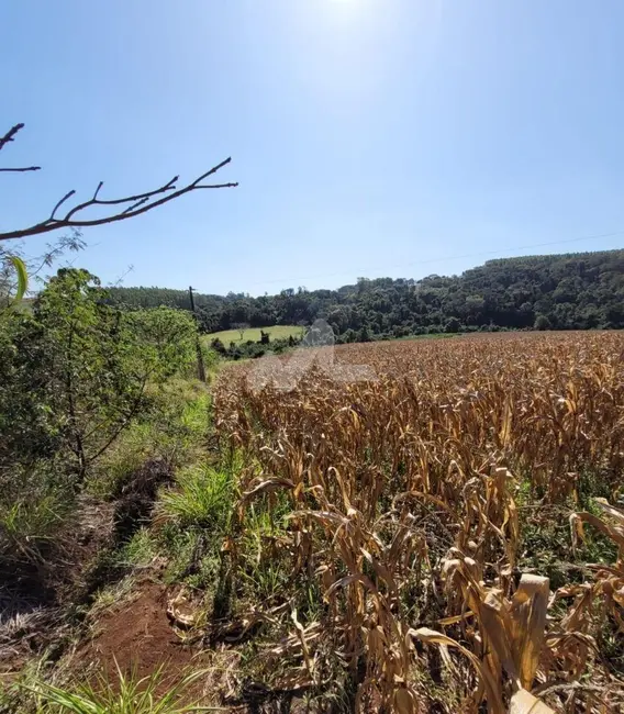 Foto 2 de Chácara à venda em Toledo - PR