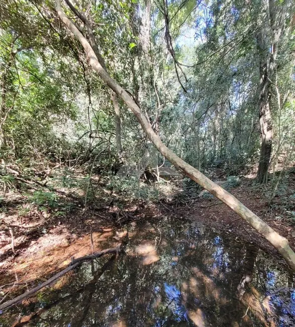 Foto 1 de Chácara à venda em Toledo - PR
