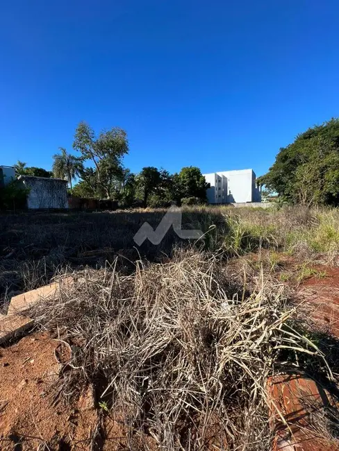 Terreno / Lote à venda, 2048m2 em Jardim Pancera, Toledo - PR - imagem 5 Foto 5 de Terreno / Lote à venda, 2048m2 em Jardim Pancera, Toledo - PR