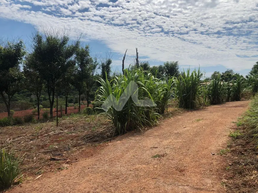 Foto 13 de Chácara à venda, 5000m2 em Vila Becker, Toledo - PR
