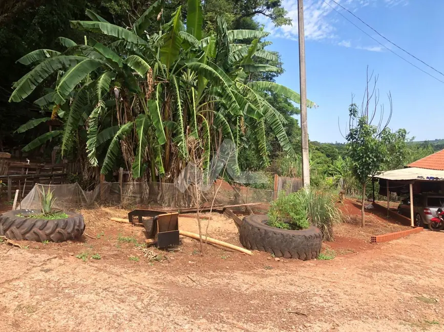 Foto 14 de Chácara à venda, 5000m2 em Vila Becker, Toledo - PR