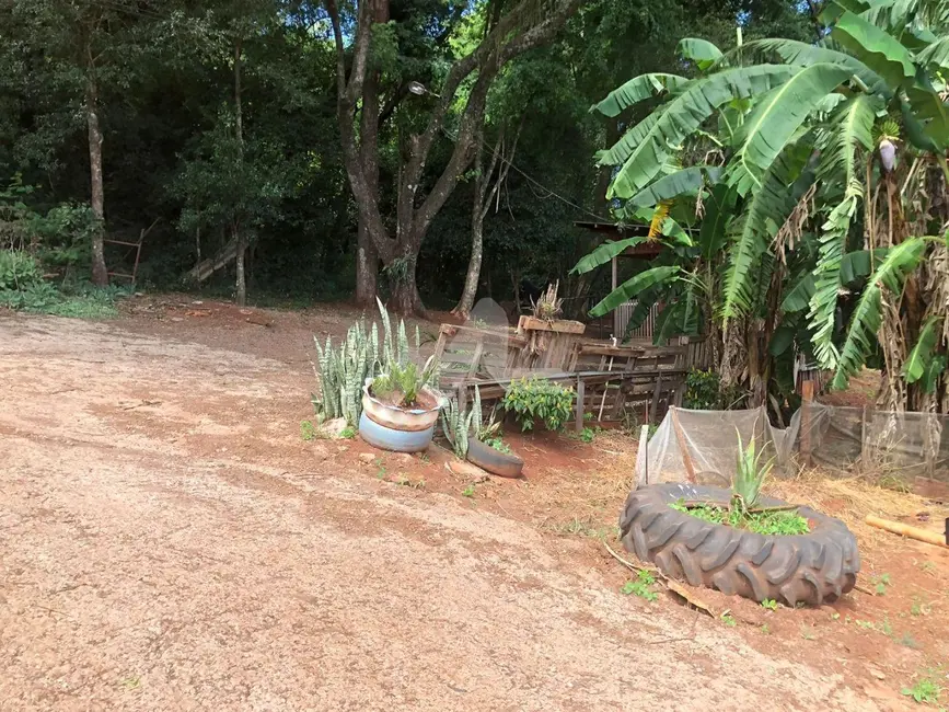 Foto 15 de Chácara à venda, 5000m2 em Vila Becker, Toledo - PR