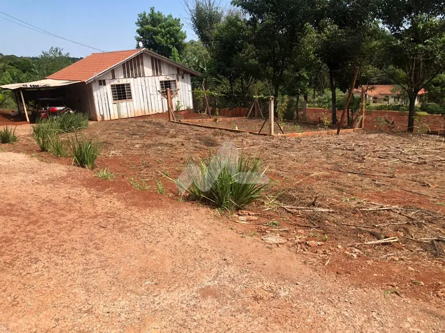 Foto 12 de Chácara à venda, 5000m2 em Vila Becker, Toledo - PR