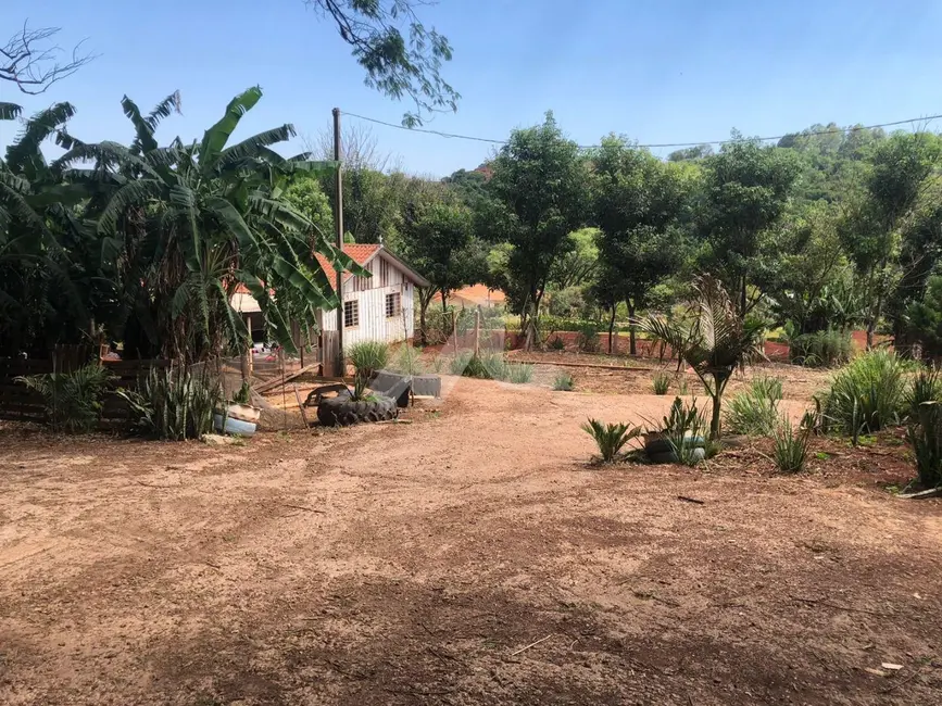 Foto 18 de Chácara à venda, 5000m2 em Vila Becker, Toledo - PR