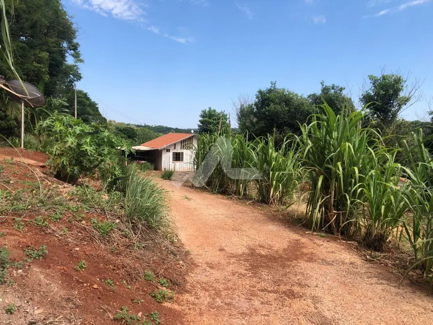 Foto 11 de Chácara à venda, 5000m2 em Vila Becker, Toledo - PR