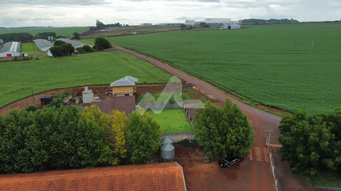 Armazém / Galpão à venda, 74105m2 em Toledo - PR - imagem 7 Foto 7 de Armazém / Galpão à venda, 74105m2 em Toledo - PR