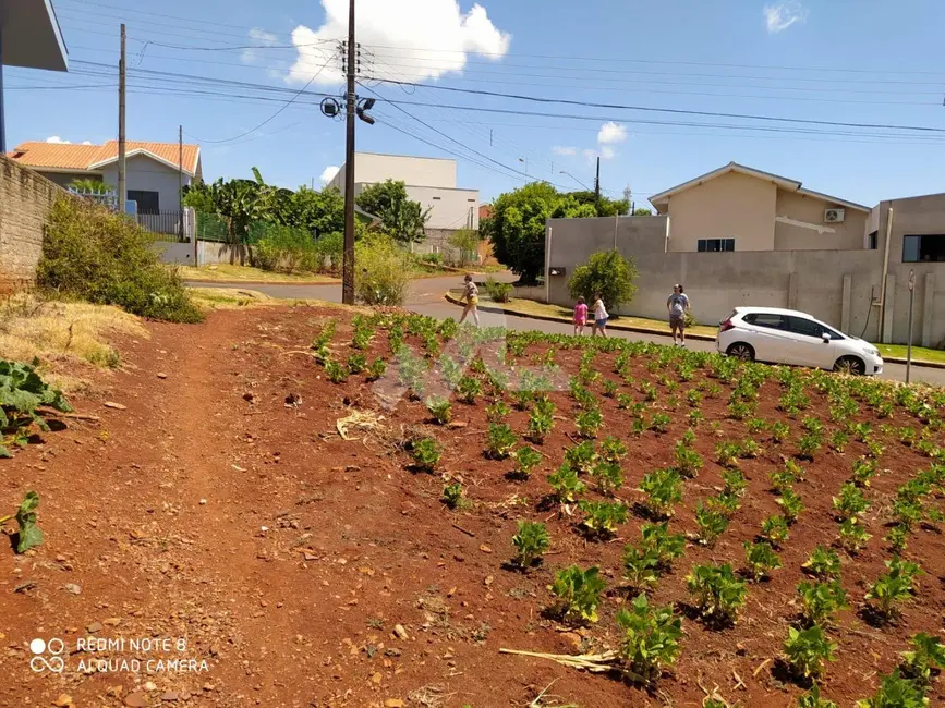 Foto 6 de Terreno / Lote à venda, 346m2 em Centro, Ouro Verde Do Oeste - PR