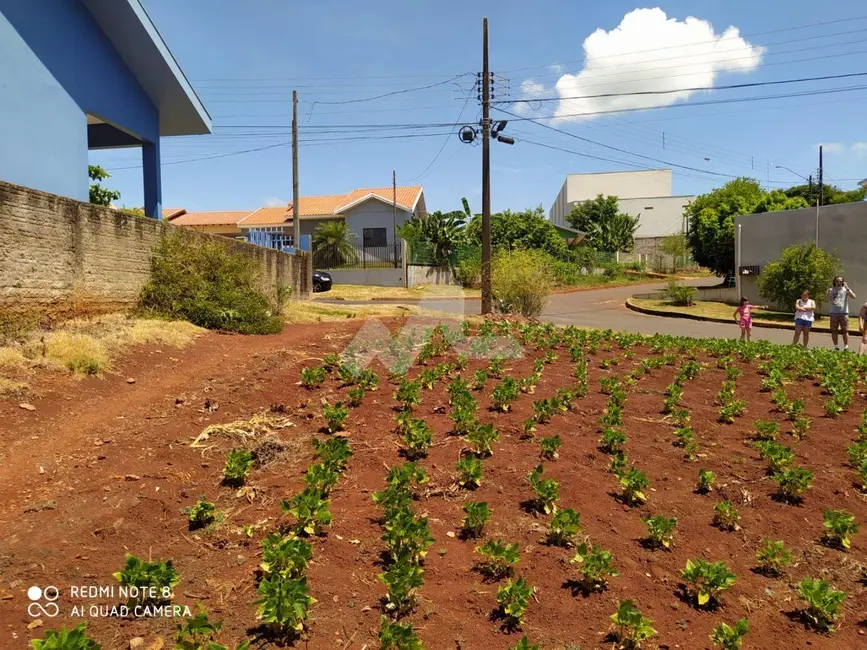 Foto 1 de Terreno / Lote à venda, 346m2 em Centro, Ouro Verde Do Oeste - PR