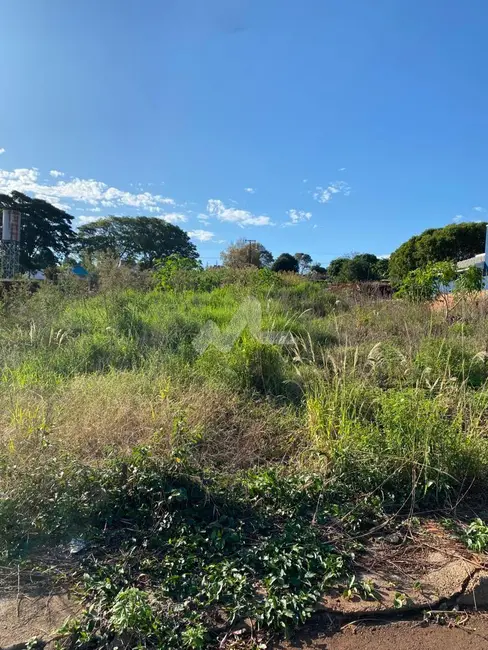 Foto 2 de Terreno / Lote à venda, 315m2 em Centro, Ouro Verde Do Oeste - PR