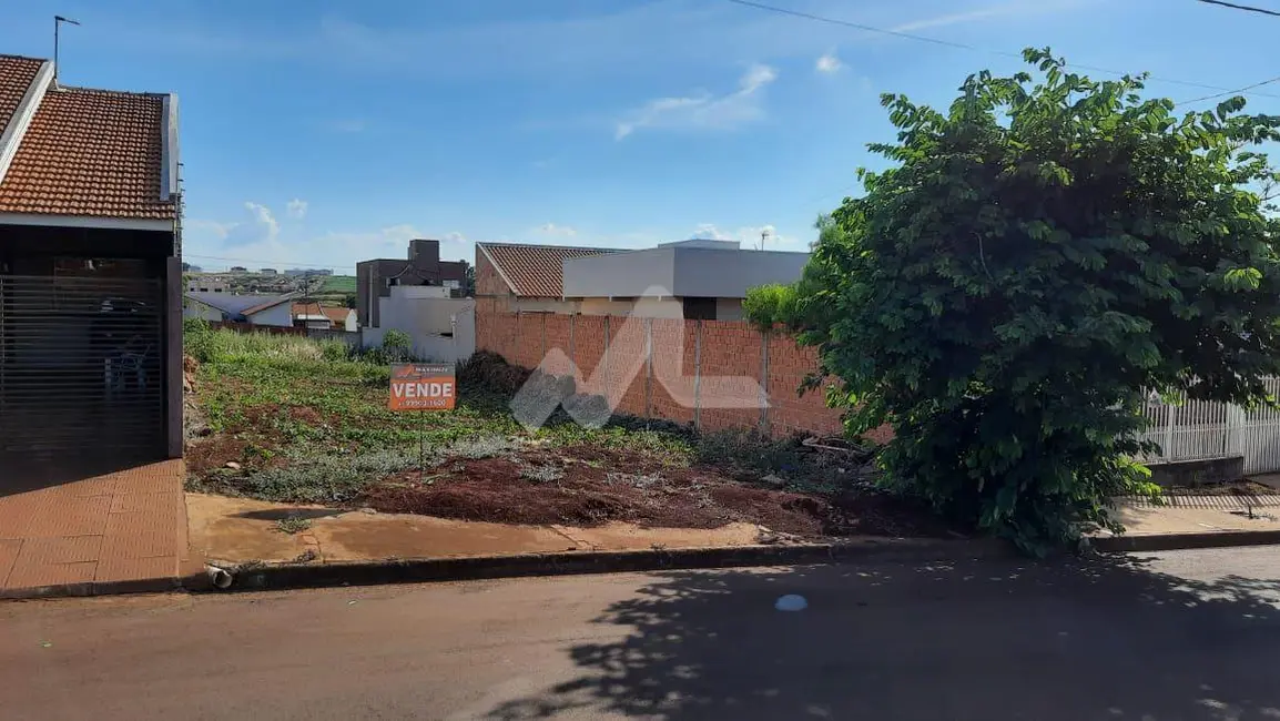 Terreno / Lote à venda, 250m2 em Pinheirinho, Toledo - PR - imagem 1 Foto 1 de Terreno / Lote à venda, 250m2 em Pinheirinho, Toledo - PR