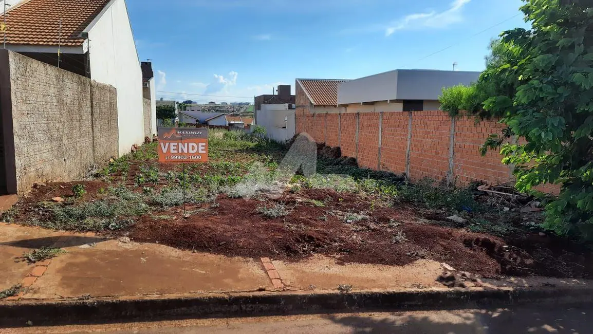 Terreno / Lote à venda, 250m2 em Pinheirinho, Toledo - PR - imagem 2 Foto 2 de Terreno / Lote à venda, 250m2 em Pinheirinho, Toledo - PR