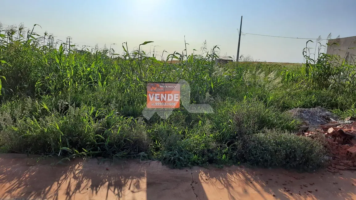 Foto 6 de Terreno / Lote à venda, 200m2 em Centro, Ouro Verde Do Oeste - PR