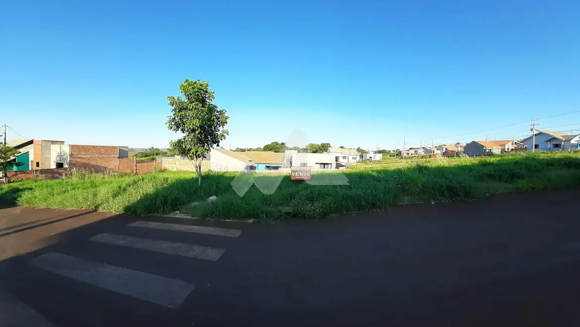 Terreno / Lote à venda, 200m2 em Centro, Ouro Verde Do Oeste - PR - imagem 6 Foto 6 de Terreno / Lote à venda, 200m2 em Centro, Ouro Verde Do Oeste - PR