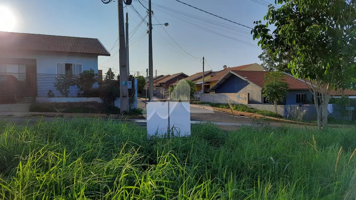 Terreno / Lote à venda, 200m2 em Centro, Ouro Verde Do Oeste - PR - imagem 7 Foto 7 de Terreno / Lote à venda, 200m2 em Centro, Ouro Verde Do Oeste - PR