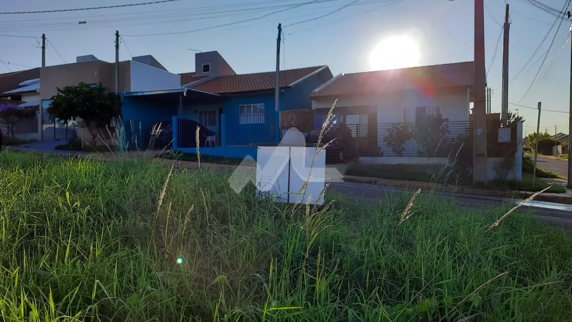 Terreno / Lote à venda, 200m2 em Centro, Ouro Verde Do Oeste - PR - imagem 8 Foto 8 de Terreno / Lote à venda, 200m2 em Centro, Ouro Verde Do Oeste - PR