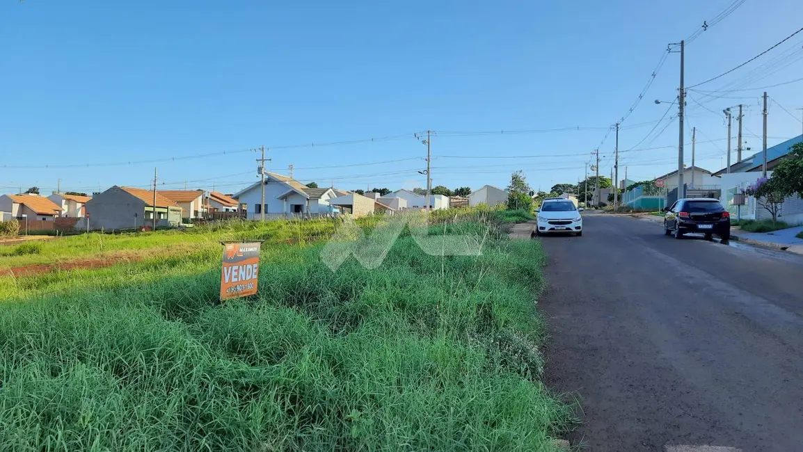 Terreno / Lote à venda, 200m2 em Centro, Ouro Verde Do Oeste - PR - imagem 5 Foto 5 de Terreno / Lote à venda, 200m2 em Centro, Ouro Verde Do Oeste - PR