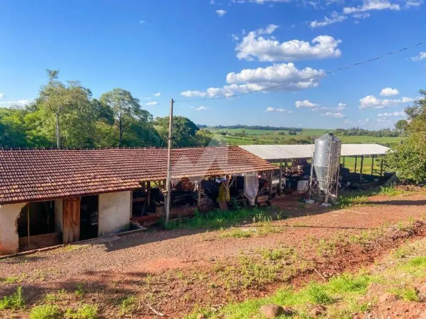 Chácara com 3 quartos à venda, 22800m2 em Jardim Coopagro, Toledo - PR - imagem 2 Foto 2 de Chácara com 3 quartos à venda, 22800m2 em Jardim Coopagro, Toledo - PR