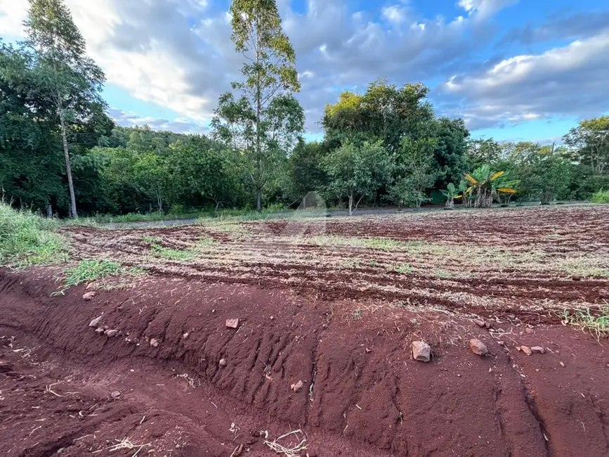 Foto 8 de Chácara com 3 quartos à venda, 22800m2 em Jardim Coopagro, Toledo - PR