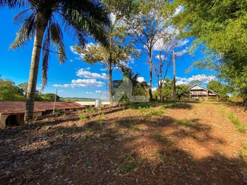 Chácara com 3 quartos à venda, 22800m2 em Jardim Coopagro, Toledo - PR - imagem 3 Foto 3 de Chácara com 3 quartos à venda, 22800m2 em Jardim Coopagro, Toledo - PR
