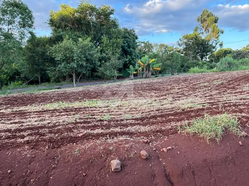 Foto 7 de Chácara com 3 quartos à venda, 22800m2 em Jardim Coopagro, Toledo - PR