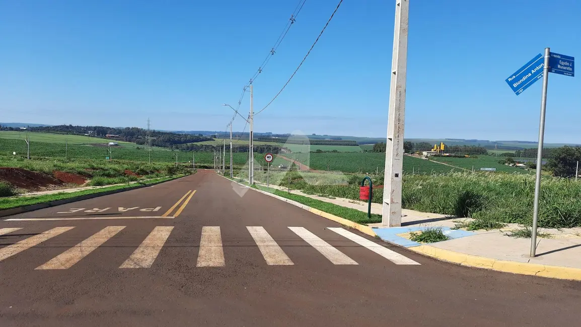 Foto 8 de Terreno / Lote à venda, 416m2 em Jardim Recanto, Toledo - PR