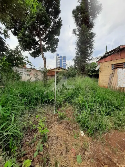 Foto 2 de Casa com 2 quartos à venda, 212m2 em Jardim La Salle, Toledo - PR
