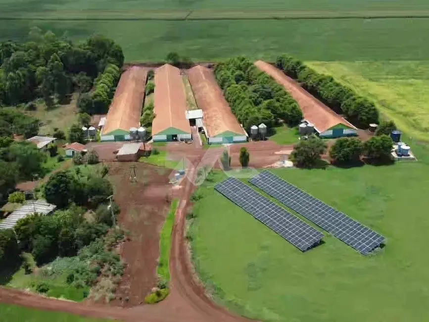 Foto 4 de Chácara à venda, 48m2 em Toledo - PR