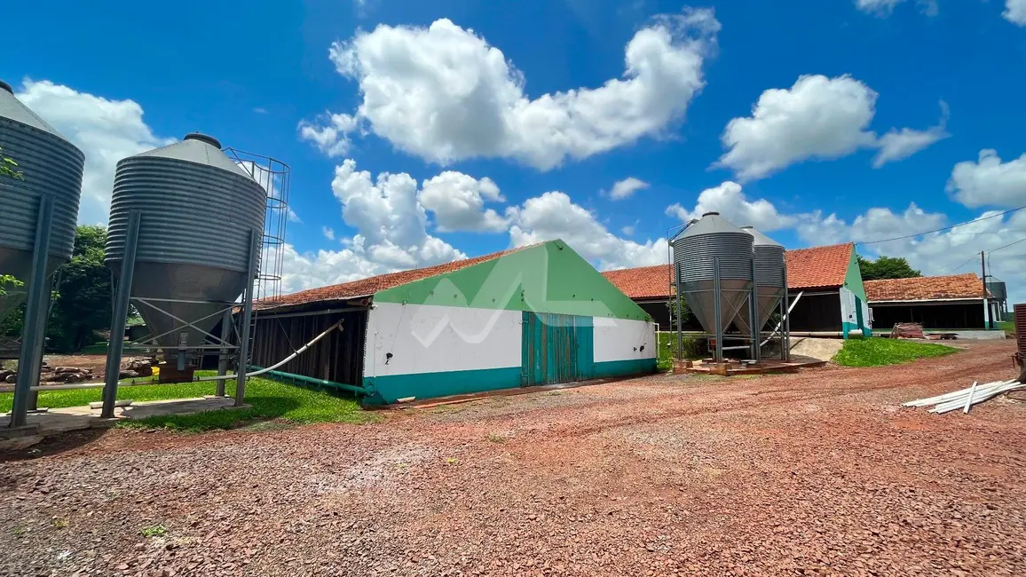 Foto 8 de Chácara à venda, 48m2 em Toledo - PR