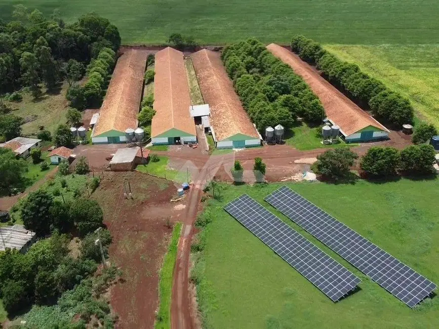 Foto 3 de Chácara à venda, 48m2 em Toledo - PR